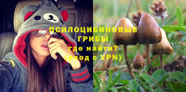 МДПВ Сафоново
