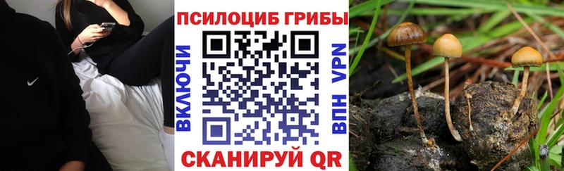 Галлюциногенные грибы мицелий  купить наркоту  Магас 